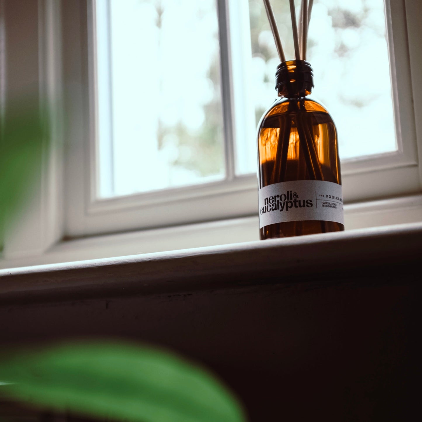 Neroli & Eucalyptus Diffuser